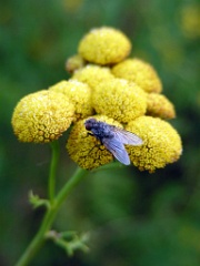 DSCN5197