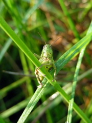 DSCN5285