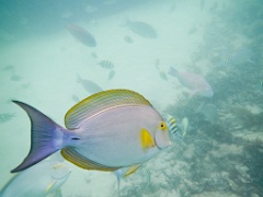 DSCN0949