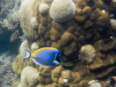 DSCN0980