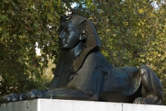 DSC 6655e