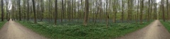 IMG 0704